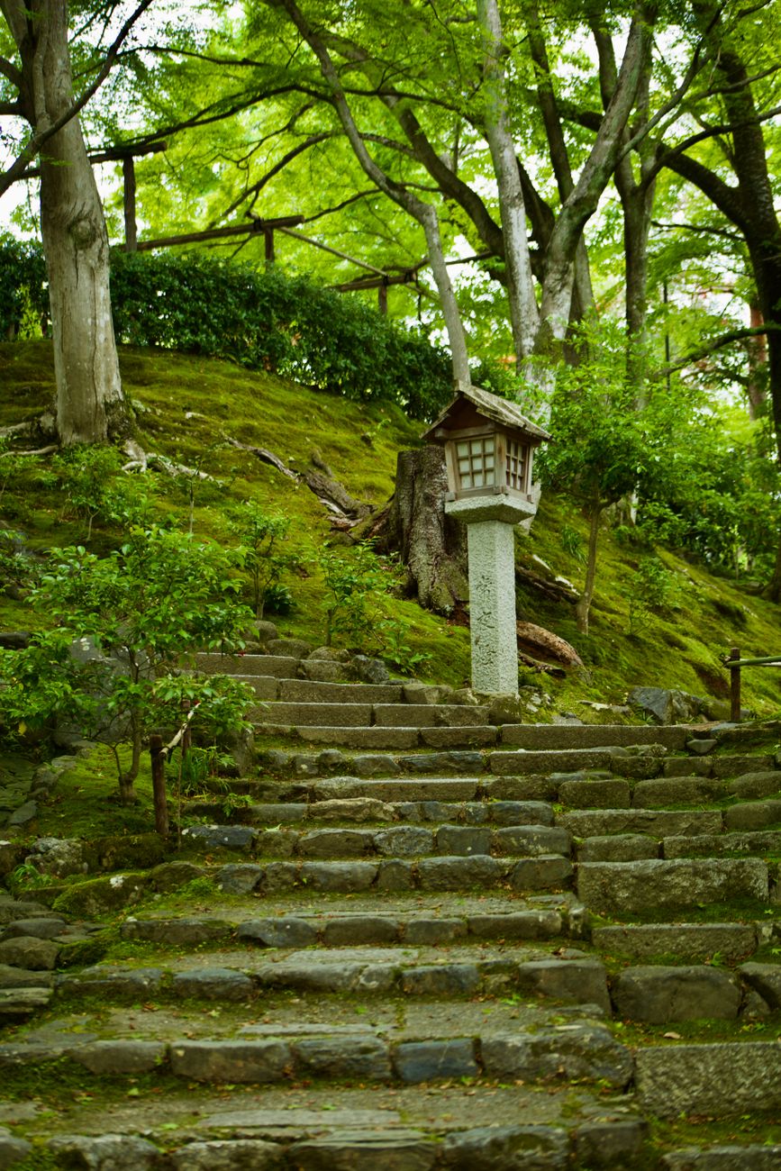 Kyoto rock and moss sanctuary garden